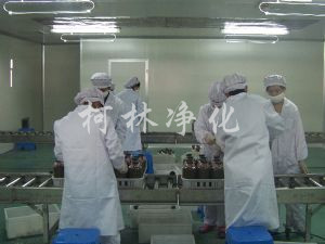 食用菌技術(shù)及廠(chǎng)房規(guī)劃